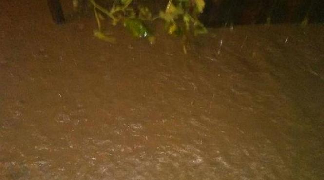 cod galben de furtuni in localitati din judetele ilfov arges teleorman dambovita si giurgiu vineri seara