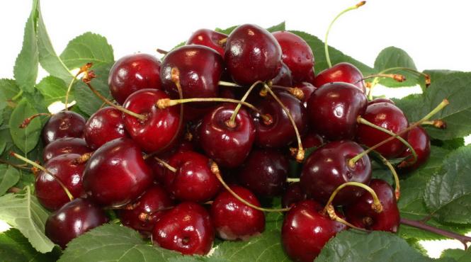 fructele romanesti lovite de intemperii