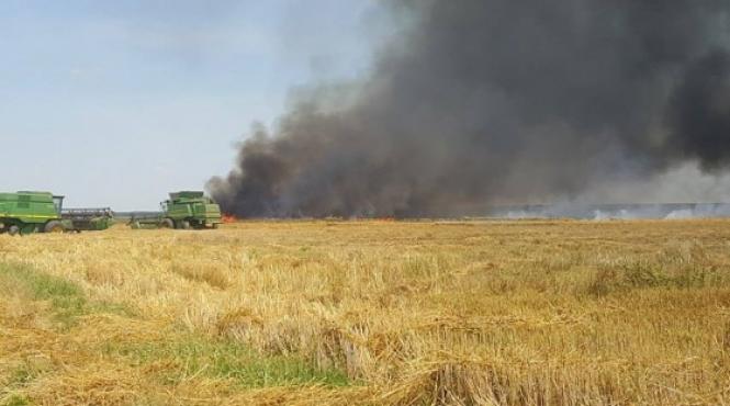 giurgiu incendiu extins pe 50 de hectare de teren agricol dupa ce un autotren incarcat cu grau a luat foc