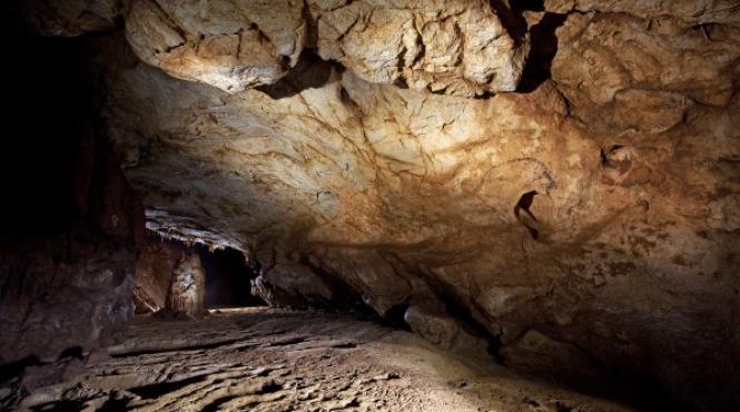 unic in romania pestera coliboaia