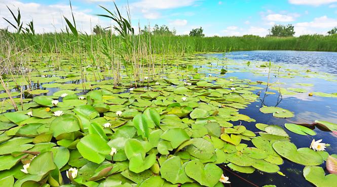 vacanta in paradisul deltei dunarii