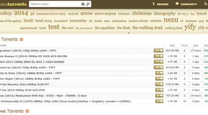 cel mai mare site de torrente a fost inchis definitiv administratorul a fost retinut