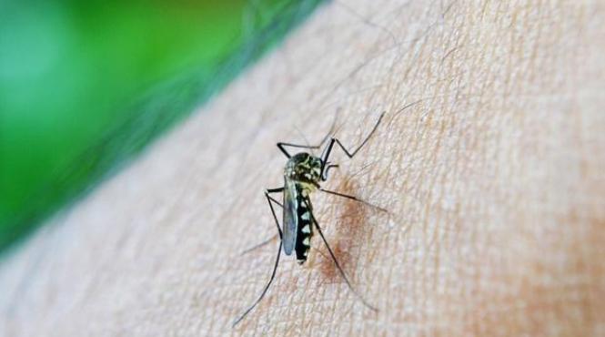 ministerul sanatatii confirma un al treilea caz de infectare cu virus zika la un roman