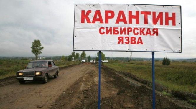 focar de antrax in siberia guvernatorul regiunii a declarat stare de urgenta