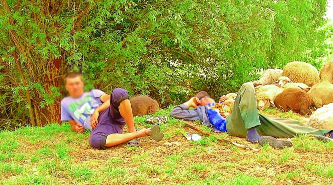 viata de sclav in romania