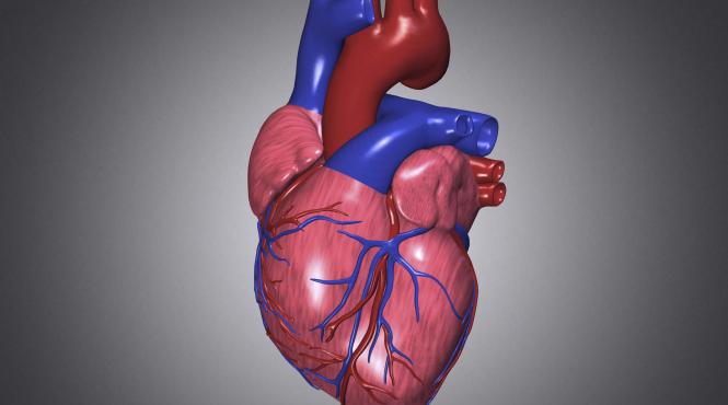 afectiunile valvulare ucigasii tacuti