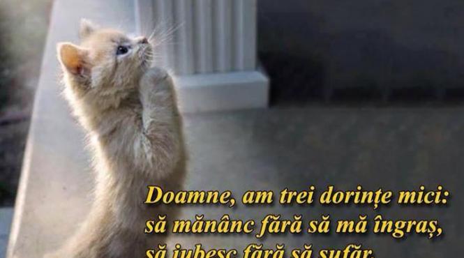 10 exemple de alimente care stimuleaza metabolismul lent