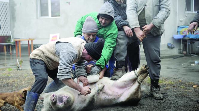 pesedistii se tem ca si vor pierde alegatorii de la tara