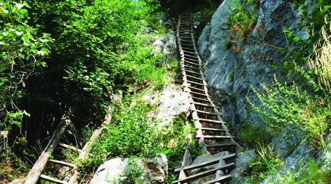 scarisoara si inelet satele in care ajungi pe trepte de salcam