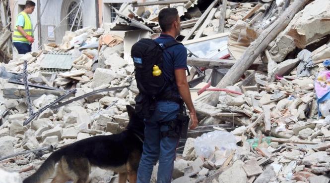 nou bilant provizoriu al cutremurului din italia 290 de morti