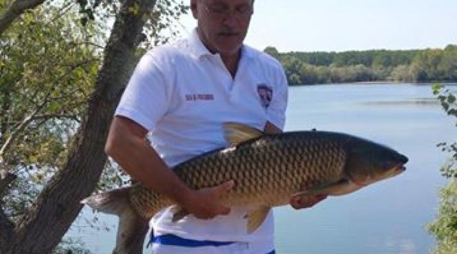 ce face iohannis daca psd il propune pe dragnea