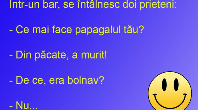 bancul zilei fiecare papagal vorbitor pe limba lui piere in tacere