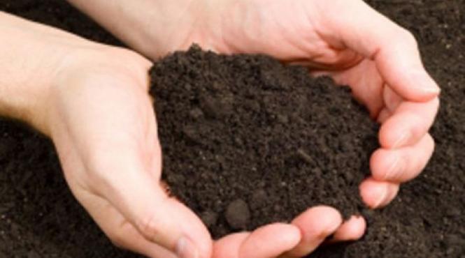 secretele gradinaritului 5 metode naturale eficiente de imbunatatire a solului
