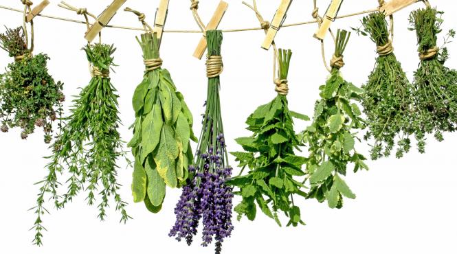 farmacia din gradina foaie verde maghiran