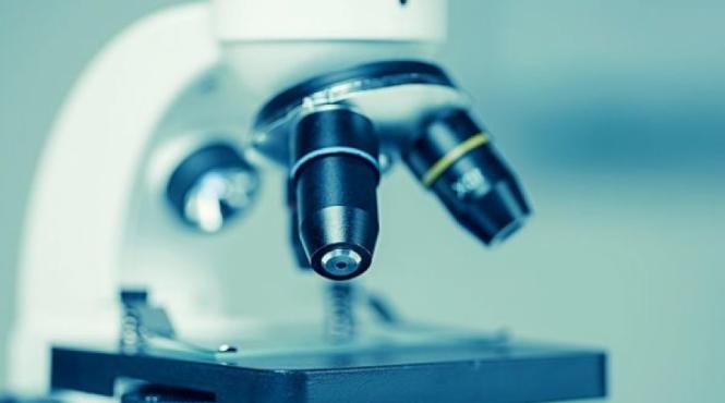 oamenii de stiinta au descoperit calmantul perfect