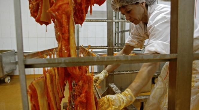 bistrita nasaud carcase de ovine contaminate cu e coli depistate la un abator din judet