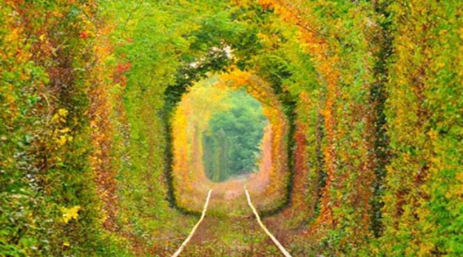 unic in romania tunelul dragostei spectacolul naturii pe calea ferata video