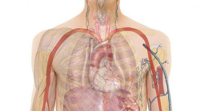 cinci semne ca ai probleme cu ficatul