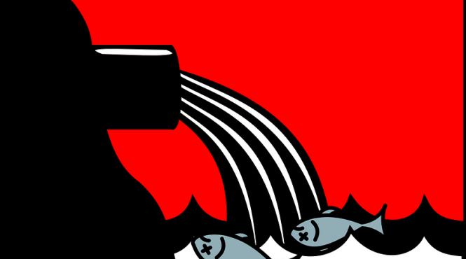 48 de milioane euro va imprumuta romania de la bird