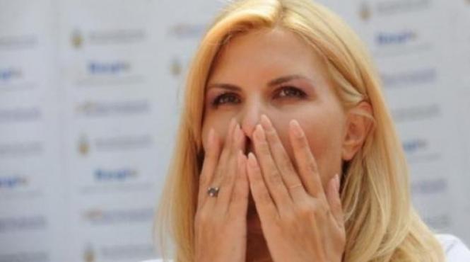 udrea atac la dna nu se atinge de oamenii presedintelui in functie nimeni nu l cerceteaza pe vasile blaga