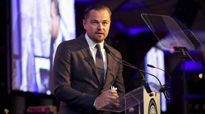 leonardo dicaprio atrage atentia asupra situatiei padurilor din romania