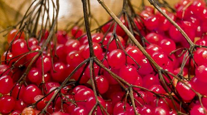 cum sa scapi de tuse fara pastile