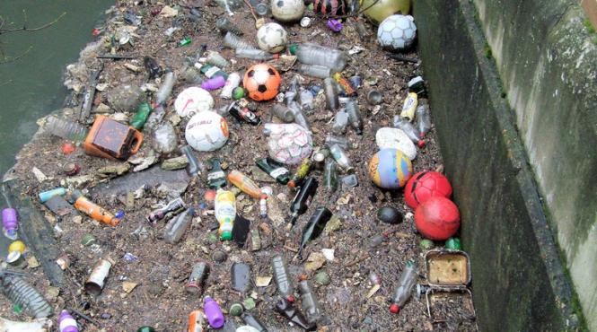 cercetatorii sunt ingrijorati poluarea cu plastic a ajuns in cele mai indepartate locuri de pe pamant