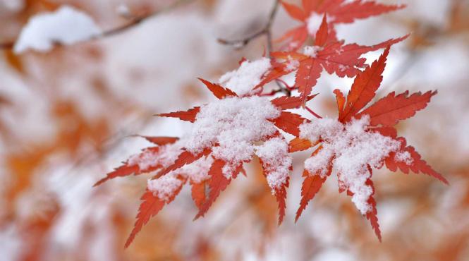 meteo de saptamina viitoare temperaturile scad la jumatate si vin ninsorile