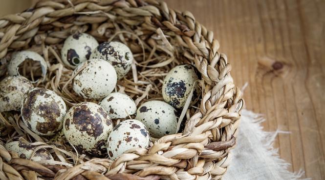 de ce sunt mai bune oualele de prepelita