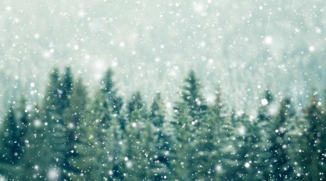 cod galben nowcasting de vijelii si izolat ninsori viscolite in judete din banat si oltenia