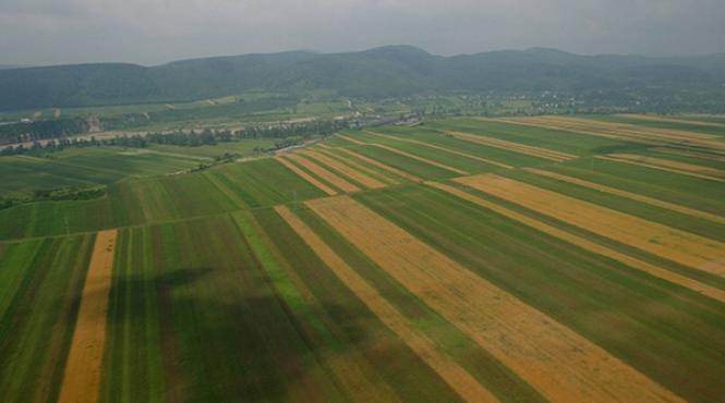 vanzarea terenurilor agricole catre straini un proiect prin care romania isi instraineaza un sfert din suprafata arabila