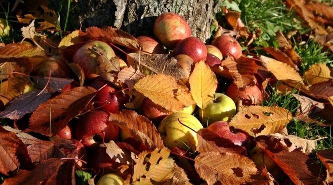 6 metode alimentare pentru a te adapta toamnei