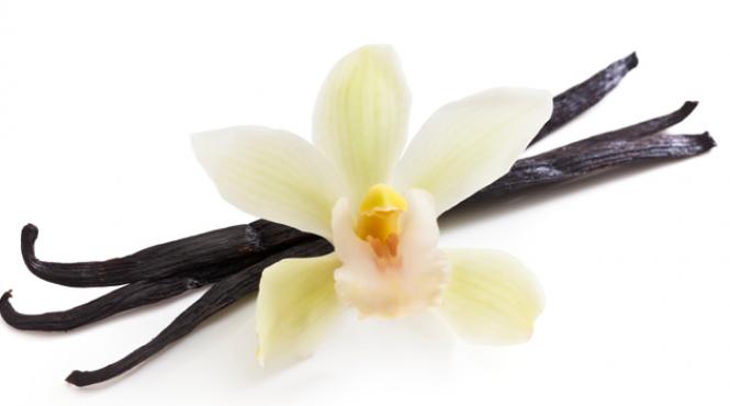 vanilia are proprietati afrodiziace si anticancerigene