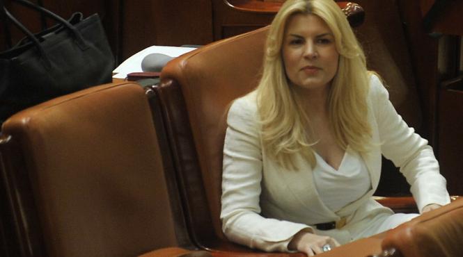 comisia juridica a camerei deputatilor discuta luni cererea justitiei in cazul udrea vot in plen marti