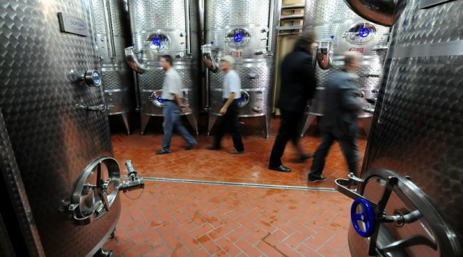 cum este fraudat bugetului de stat de firmele din domeniul producerii si comercializarii bauturilor alcoolice