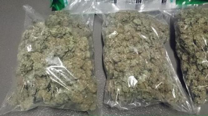 diicot canabis hasis si cocaina aduse din italia de o grupare care activa in suceava si mures