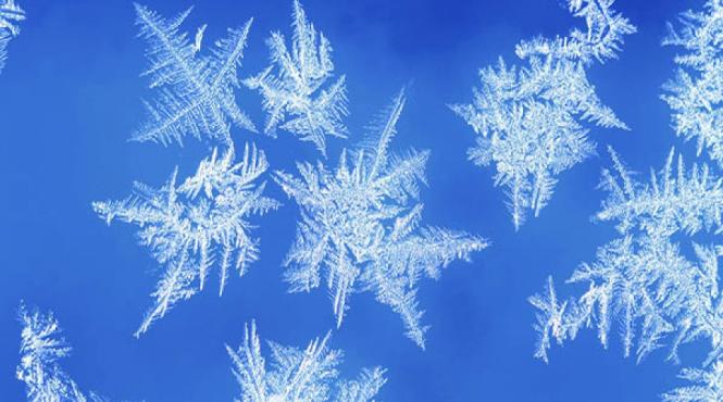 secretele naturii descifrate de stiinta taina fulgilor de nea video