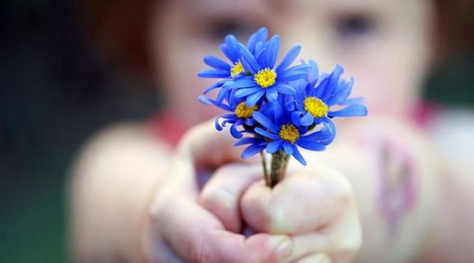 ghidul bunelor maniere cum daruim flori