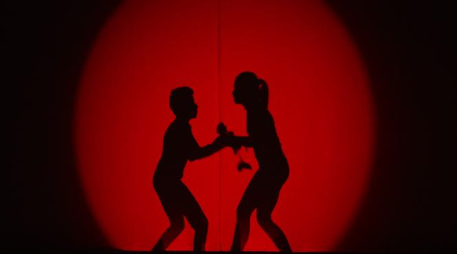 next star teatru de papusi si teatru de umbre balet rusesc si muzica buna