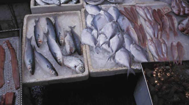 importam mii de tone de peste si exportam cu taraita