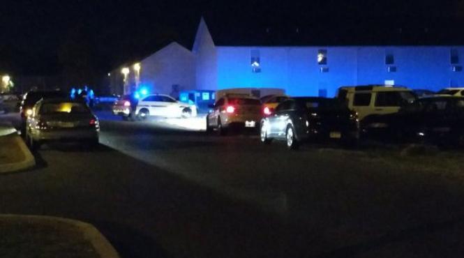 sua doi politisti au fost impuscati in statul pennsylvania presa