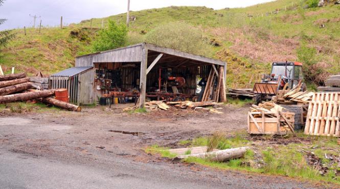hunedoara gater ilegal descoperit de jandarmi si garda forestiera