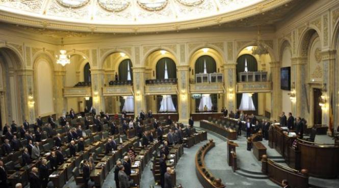 meseriile candidatilor la alegerile parlamentare de la ingineri juristi si economisti la soferi menajera sau electrician