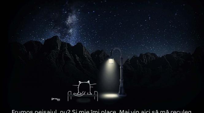 black friday 2016 probleme pentru emag siteul a picat campania a fost suspendata in mai putin de o ora de la debut