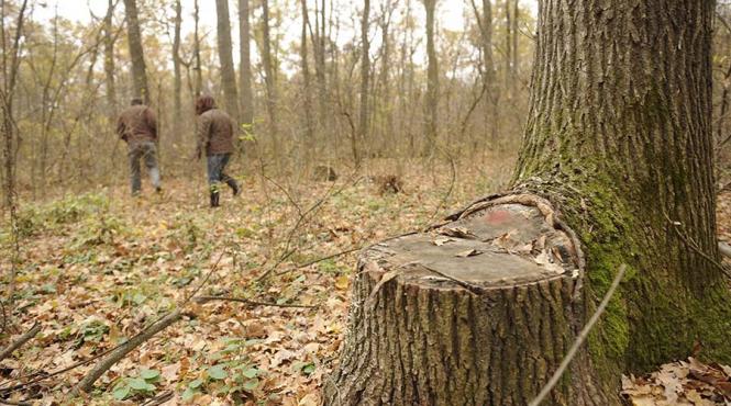 cine a gasit cadavrul criminalului evadat de la sapoca