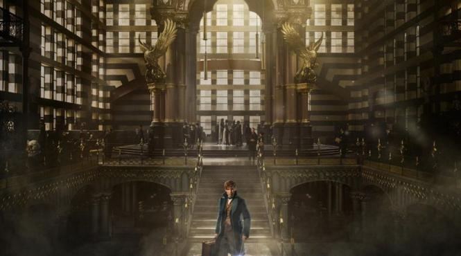 concurs castiga bilete la filmul animale fantastice si unde le poti gasi fantastic beasts and where to find them