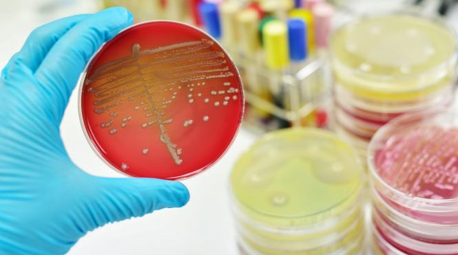 mai ingrijorator decat cancerul rezistenta la antibiotic