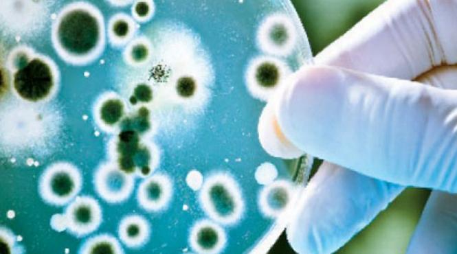 sfatul medicului 5 lucruri pe care nu le stiati despre lumea nevazuta a microbilor