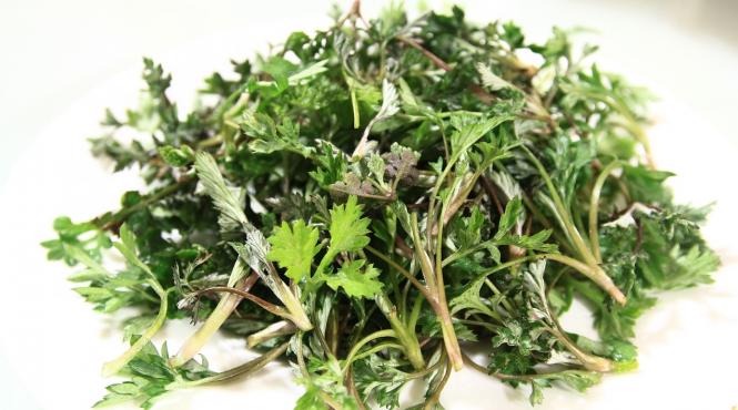 plantele care iti pot dauna grav sanatatii