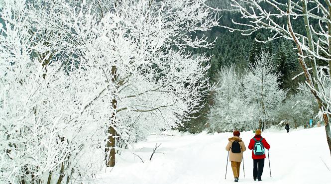 strainii au mai multa incredere in romania decat avem noi